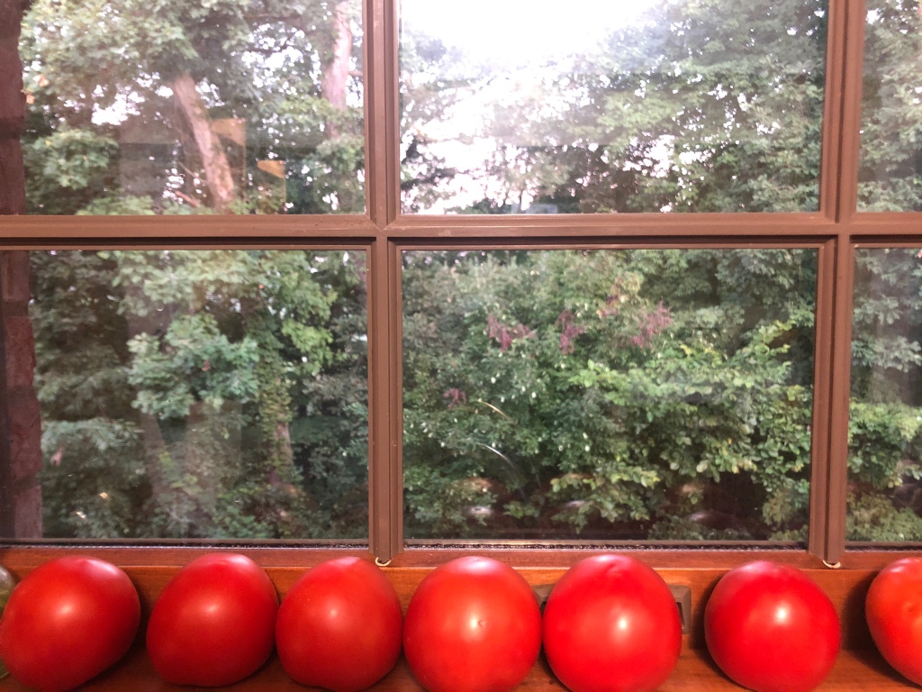 Photo of tomatoes on window sill